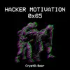 Crypt0-Bear - Hacker Motivation 0x65